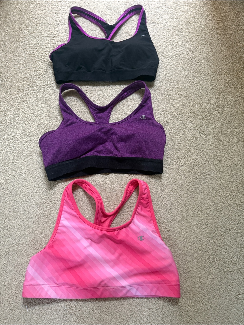 Champion Women’s Pink Striped Sports Bra with Black and Purple Options